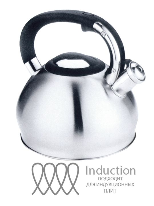 Kettle 3.3l HM 5570 with a whistle Kettle 3.3l HM 5570 with a whistle